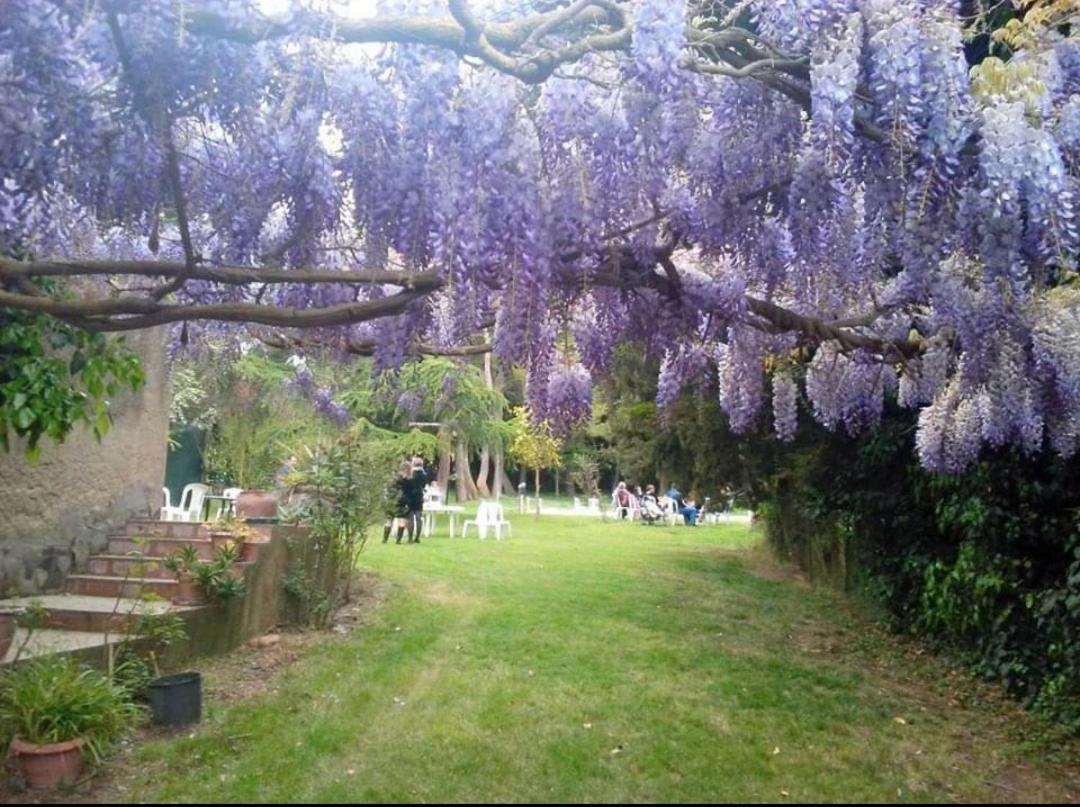 Agriturismo Feudo Tudia Landro 외부 사진